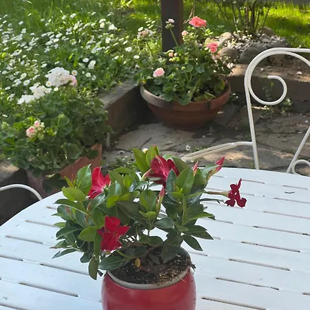 Dom wakacyjny Nuova Nonna Prassede Con Giardino E Posto Auto *