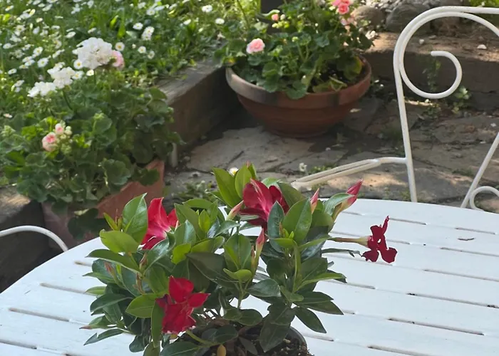 펜션 Nuova Nonna Prassede Con Giardino E Posto Auto *